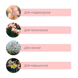 Корзина для посадки луковичных растений, овальная, 30.6×27 см, h=7.5 см, МИКС
