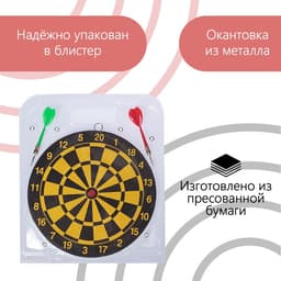 Дартс, мишень диаметром 22 см, 2 дротика