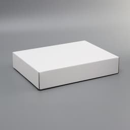 Коробка сборная, без печати, крышка - дно «белая» без окна 30.5×24×6.1 см