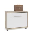 Обувница закрытая «СОКОЛ. ТП-1», 600×287×482 мм, цвет дуб сонома/белый