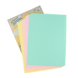 Папка для пастели А3, 8 листов, 4 цвета «Страна чудес. Пугало», блок 160 г/м²