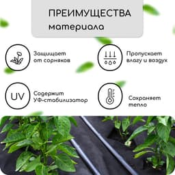 Материал мульчирующий, с перфорацией, 5×1.6 м, плотность 80 г/м², спанбонд с УФ-стабилизатором, 2 ряда перфорации, чёрный, Greengo, Эконом 30%