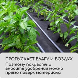 Материал мульчирующий, с перфорацией, 5×1.6 м, плотность 80 г/м², спанбонд с УФ-стабилизатором, 2 ряда перфорации, чёрный, Greengo, Эконом 30%
