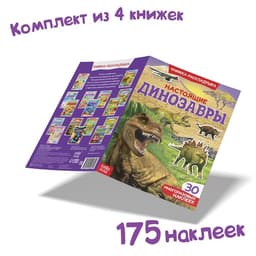 Книги с наклейками многоразовыми «Для мальчиков», набор 4 шт.