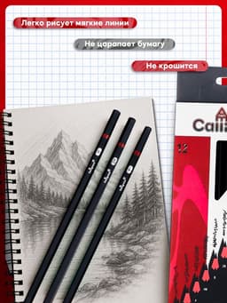 Карандаши чернографитные Calligrata, 12 штук, разная твёрдость, шестигранные, деревянные