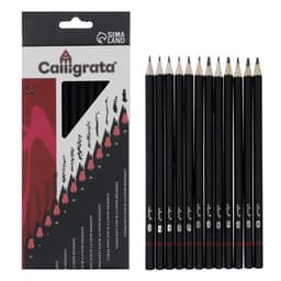 Набор карандашей чернографитных Calligrata, 12 штук, разная твёрдость, шестигранные, деревянные