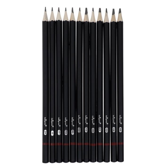Набор карандашей чернографитных Calligrata, 12 штук, разная твёрдость, шестигранные, деревянные