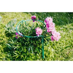 Кустодержатель, d=60 см, h=90 см, ножка d=1 см, металл, набор 2 шт., зелёный