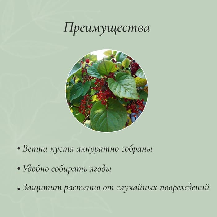 Кустодержатель, d=40 см, h=90 см, ножка d=1 см, металл, набор 2 шт., зелёный