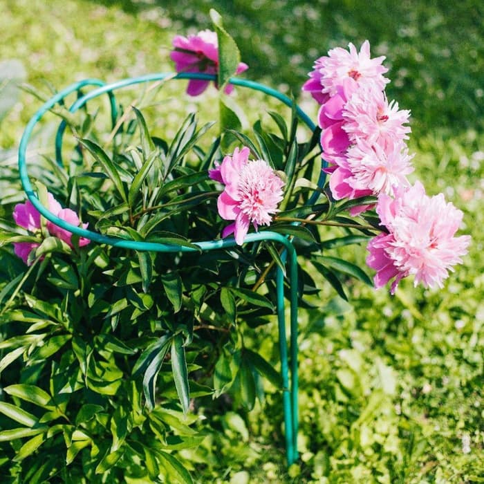 Кустодержатель, d=40 см, h=90 см, ножка d=1 см, металл, набор 2 шт., зелёный