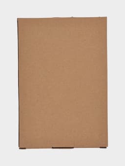 Блюдо для подачи «Лист», 25×16×2 см, керамика, белое