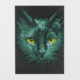 Алмазная мозаика с частичным заполнением на холсте «Чёрный кот», 15×21 см