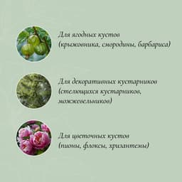 Кустодержатель, d=40 см, h=70 см, ножка d=1 см, металл, зелёный