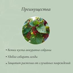 Кустодержатель, d=40 см, h=70 см, ножка d=1 см, металл, зелёный