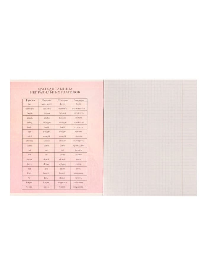 Предметная тетрадь по английскому языку Calligrata «Металл», 48 листов, в клетку, со справочным материалом, обложка из мелованного картона