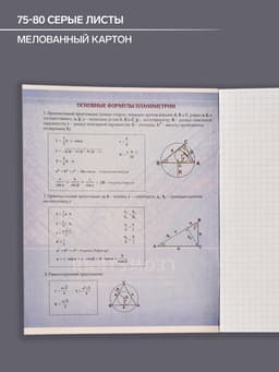 Предметная тетрадь по геометрии Calligrata «Металл», 48 листов, в клетку, со справочным материалом, обложка из мелованного картона