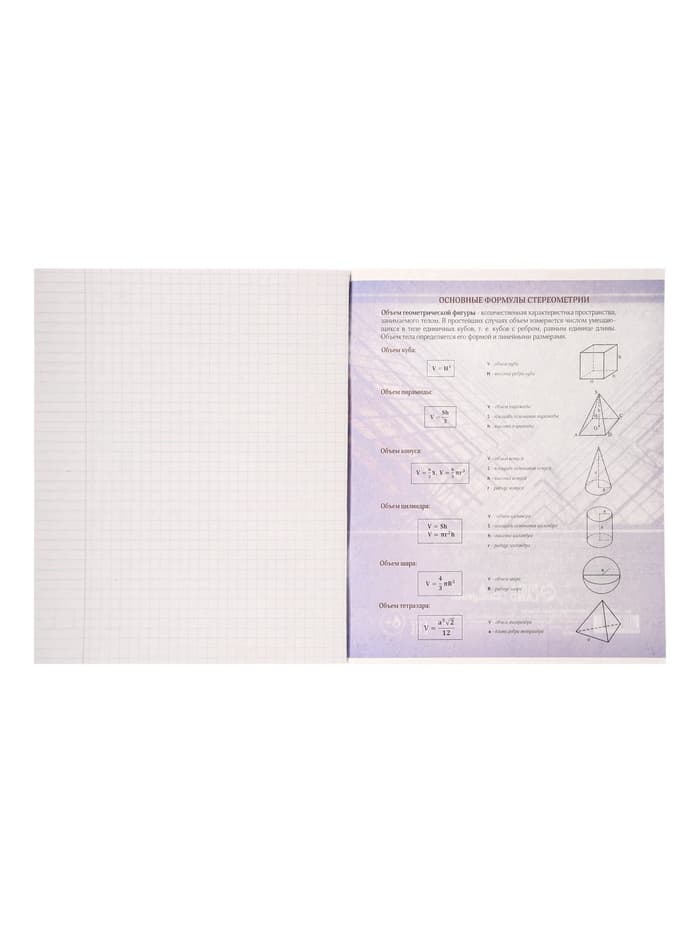 Предметная тетрадь по геометрии Calligrata «Металл», 48 листов, в клетку, со справочным материалом, обложка из мелованного картона
