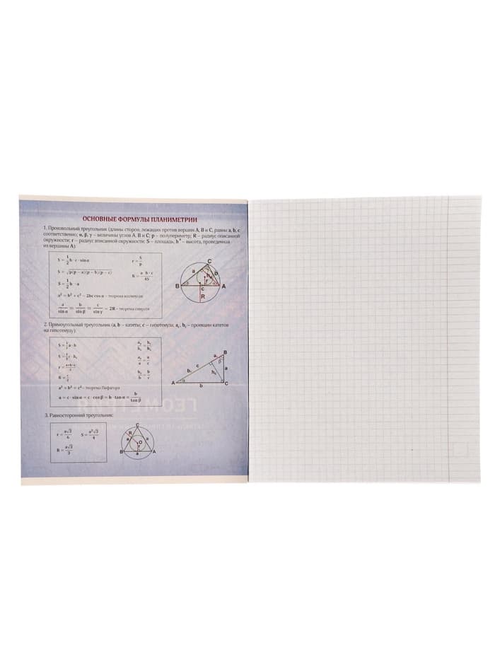 Предметная тетрадь по геометрии Calligrata «Металл», 48 листов, в клетку, со справочным материалом, обложка из мелованного картона