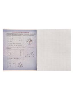 Предметная тетрадь по геометрии Calligrata «Металл», 48 листов, в клетку, со справочным материалом, обложка из мелованного картона