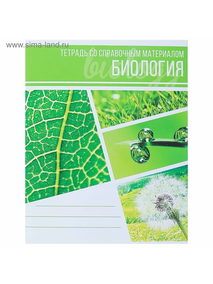 Предметная тетрадь по биологии Calligrata «Коллаж», 48 листов, в клетку, со справочным материалом, обложка из мелованного картона