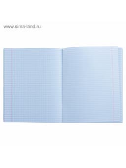 Предметная тетрадь по алгебре Calligrata «Коллаж», 48 листов, в клетку, со справочным материалом, обложка из мелованного картона