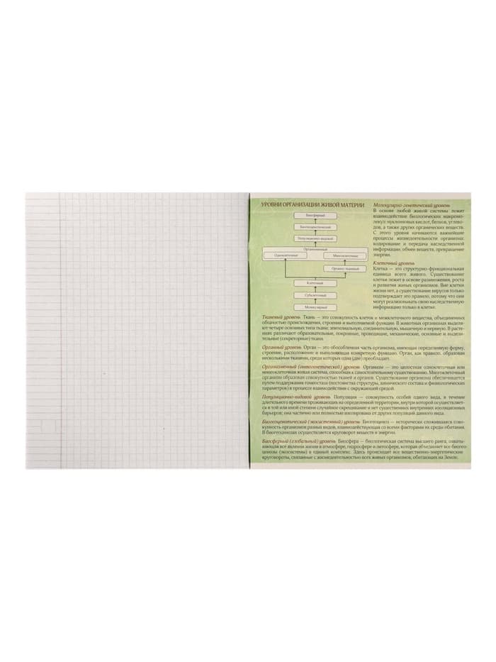 Предметная тетрадь по биологии Calligrata «Металл», 48 листов, в клетку, со справочным материалом, обложка из мелованного картона