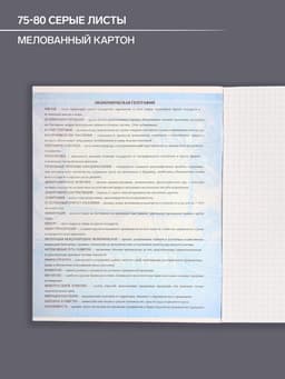 Предметная тетрадь по географии Calligrata «Металл», 48 листов, в клетку, со справочным материалом, обложка из мелованного картона