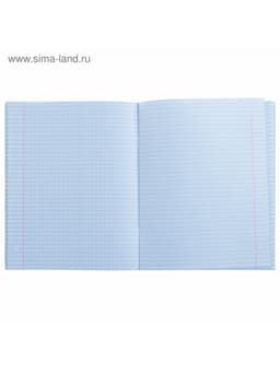Предметная тетрадь по физике Calligrata «Коллаж», 48 листов, в клетку, со справочным материалом, обложка из мелованного картона