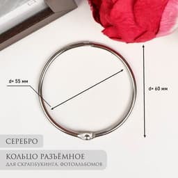 Кольцо для фотоальбомов «Серебро», внутренний d=5.5 см, внешний d=6 см