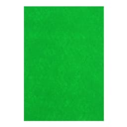 Набор фетра, А3, 10 цветов, толщина-1 мм