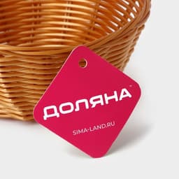Корзинка для фруктов и хлеба Доляна «Плетёнка», 17×7 см, пластик, плетёная, коричневая