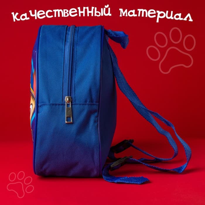Рюкзак детский для мальчика, 23×21×10 см, Щенячий патруль