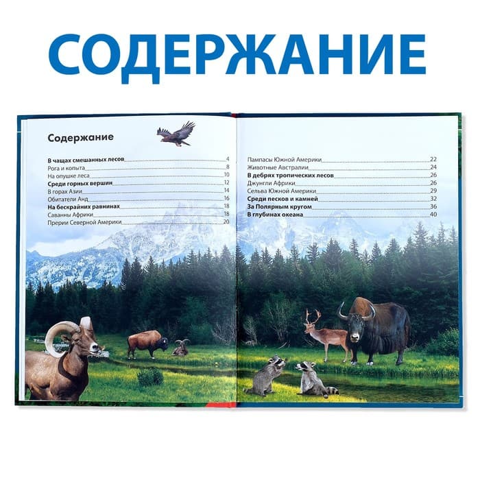 Энциклопедия детская в твёрдом переплёте «Животные», 48 стр.