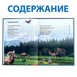 Энциклопедия детская в твёрдом переплёте «Животные», 48 стр.