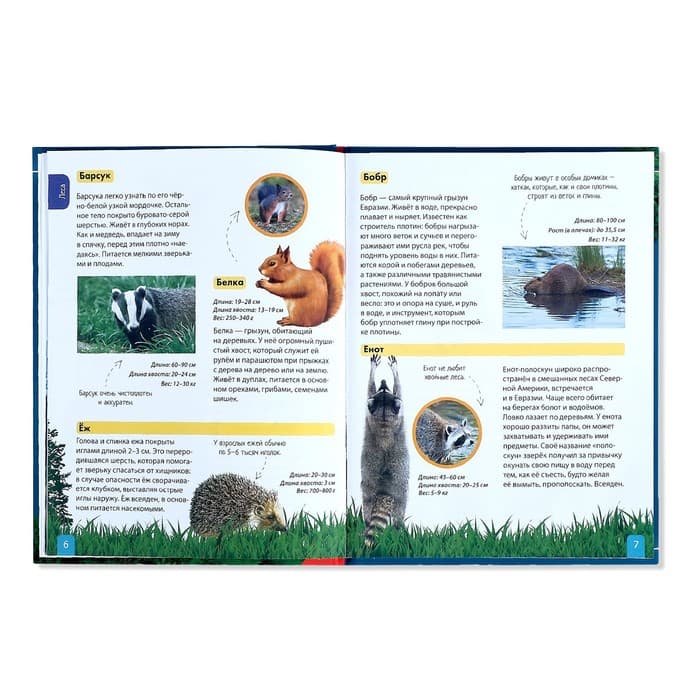 Энциклопедия детская в твёрдом переплёте «Животные», 48 стр.