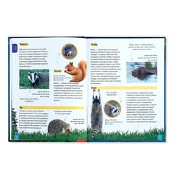 Энциклопедия детская в твёрдом переплёте «Животные», 48 стр.