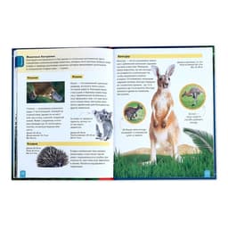 Энциклопедия детская в твёрдом переплёте «Животные», 48 стр.