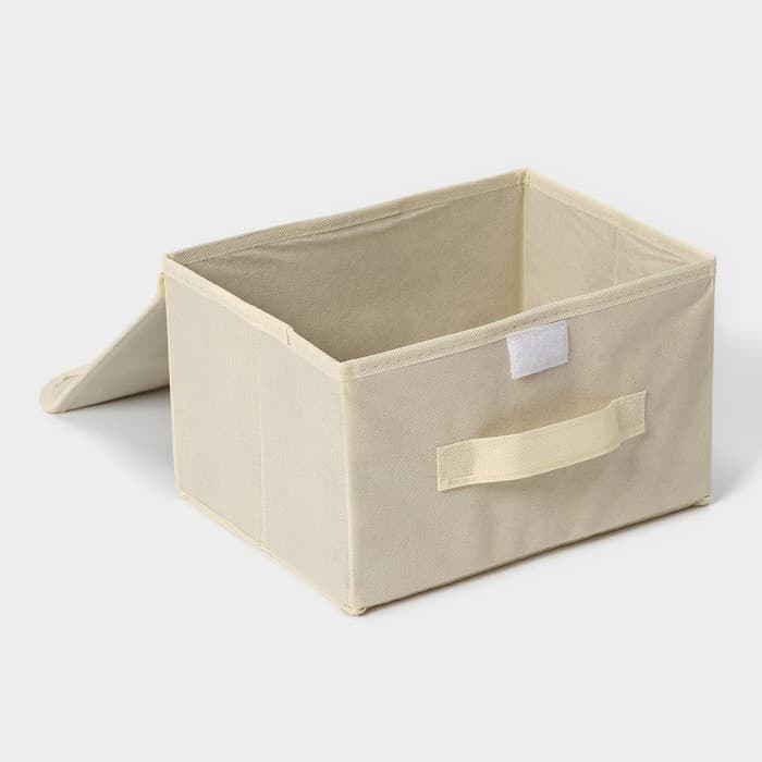 Короб стеллажный для хранения с крышкой Доляна «Алва», 26×20×15 см, бежевый