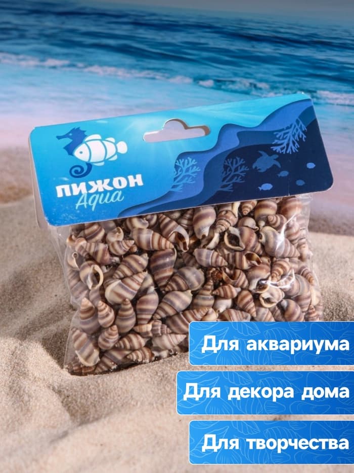 Набор ракушек, 1 - 2 см, 100 г