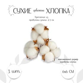 Декор для творчества «Сухие цветы хлопка» на проволоке, 3 шт.