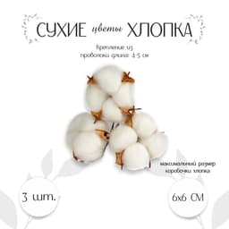 Декор для творчества «Сухие цветы хлопка» на проволоке, 3 шт.