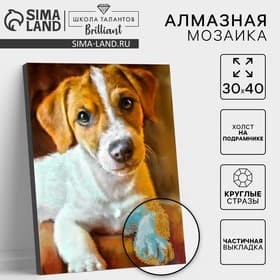 Алмазная мозаика с частичным заполнением на подрамнике «Пёс», 30×40 см