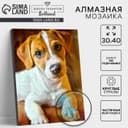 Алмазная мозаика с частичным заполнением на подрамнике «Пёс», 30×40 см