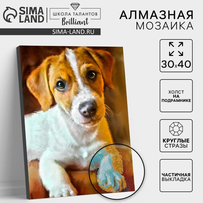 Алмазная мозаика с частичным заполнением на подрамнике «Пёс», 30×40 см