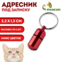 Адресник-капсула под записку, 2.2×1.3 см, фасовка 6 шт., металл, цвет МИКС