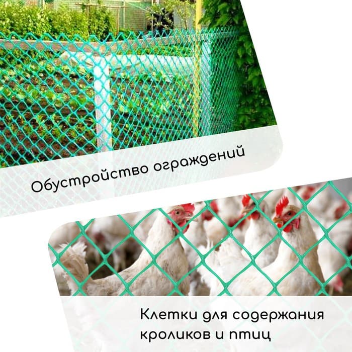 Сетка садовая, 1×20 м, ячейка квадрат 50×50 мм, пластиковая, зелёная, Greengo, в рулоне