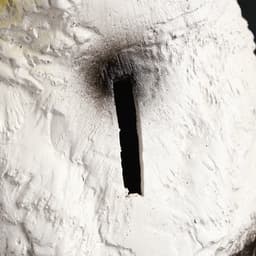 Копилка для денег «Сова полярная», гипс, 14×12×27 см