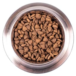 Сухой корм Monge Dog Speciality Hypoallergenic для собак, лосось/тунец, 12 кг
