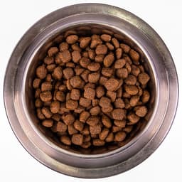 Сухой корм для собак всех пород Monge Dog Speciality, утка, рис, картофель, 12 кг