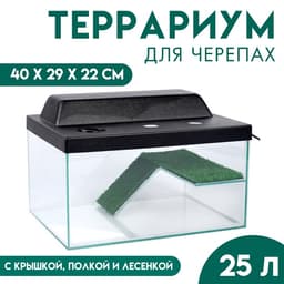 Террариум для черепах 25 л, с крышкой, полкой и лесенкой, 40×29×22 см